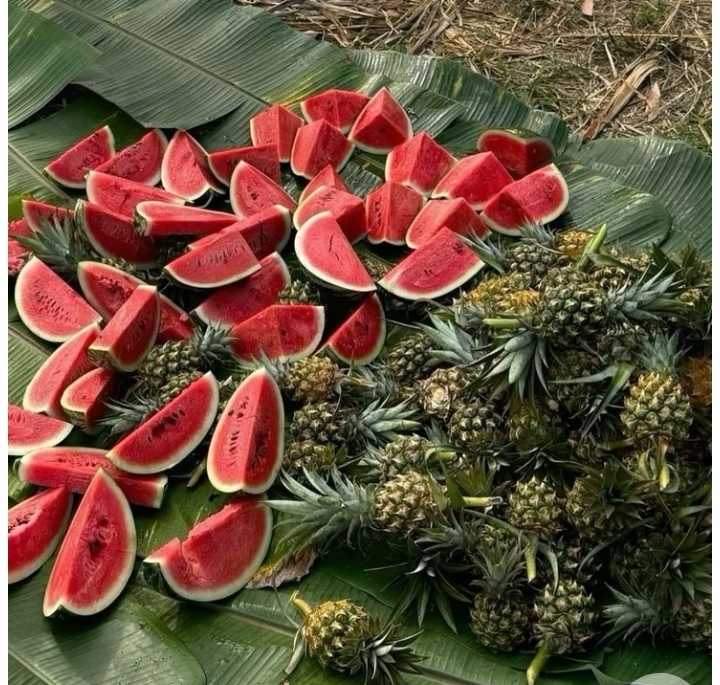 Pastèques et ananas frais