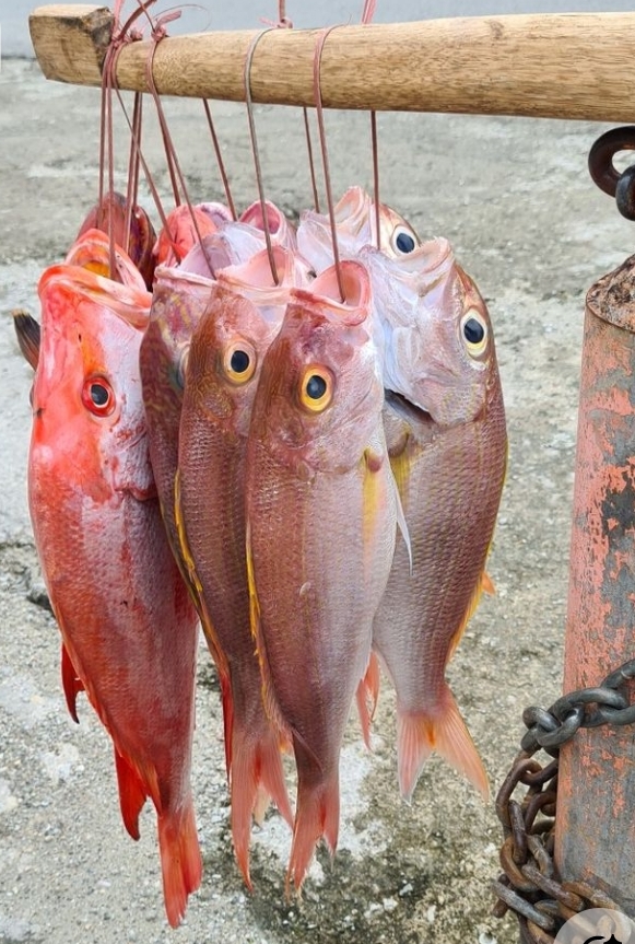Pêche artisanale ivoirienne